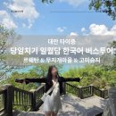 수금개발 | 대만 타이중 당일치기 일월담 한국어 버스 투어 (일월담/르웨탄, 무지개마을, 고미습지)