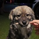 똘멍이네 이미지