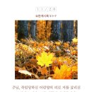 요한양만