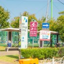 을숙도 자전거 무료대여소 이미지