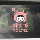 메테오 이미지