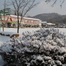 발산초등학교 이미지