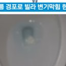 하슬라로 이미지