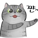 개성집천안법원점 이미지