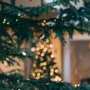 일상의 하루 이미지