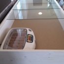 병아리펜션 이미지