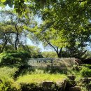 송산1동주민센터 | 포천 국립수목원 : 아이들과 가볼만한 곳 : 주차장 예약, 주차요금, 산책코스 등