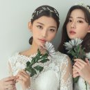 헤어콕 이미지