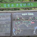 8월29일(토)횡성 자연 속 힐링,상안리 낙엽송 소나무명품숲여행 이미지