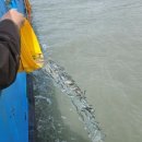 신안낚시터 이미지