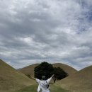 느티나무한의원 | [경주여행]#1. 한여름 경주에서 살아남기ㅣ대릉원, 향화정, 명퉤, 미피스토어, 오아르미술관