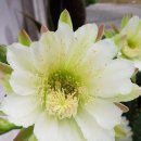 개선농장 이미지