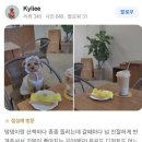 수성어린이집 | 대구수성구샌드위치 어린이집 유치원 답례품 간식으로 추천
