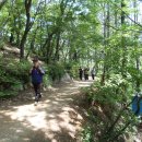 원적산길 이미지