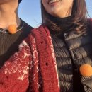 동백목장2 이미지