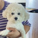 네오메디컬동물병원 이미지