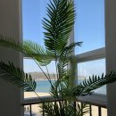 진하반점 이미지