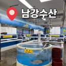 남강 회초밥 | 대전 오정농수산물 회센터 남강수산 후기｜활어회 포장 맛집 추천