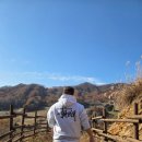 세이지우드 홍천산양목장 이미지