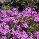 (주)명지부동산중개법인 이미지