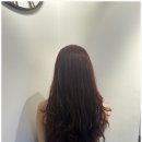 동성미용실 - 부산진구 개금본동로 84 | 동성미용실