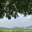 짜짜루짜장나라 | 광나루 한강 공원 피크닉