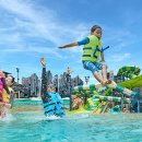 제주벨루가 이미지