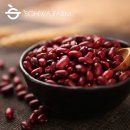 소화농장