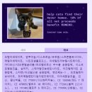 우연히 알게 된, 문캣(mooncat) 네일 폴리시 직구 후기