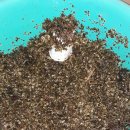 수원-0135 이미지