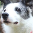 견생공방 이미지