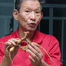 천종농장 이미지