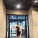 프렌드푸드 이미지