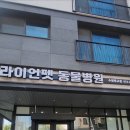 라이언펫 수원광교동물병원 이미지