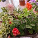 월명농장 이미지