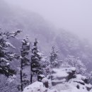 가야산(1430m) 산행-목화밭바다 유영 이미지