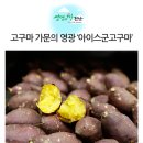 땅끝햇살찬 영농조합법인 | 고구마 가문의 영광 ‘아이스군고구마’ <해남땅끝햇살찬영농조합법인>