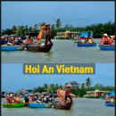 고요한 숲 이미지