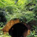 제주가마오름 일제동굴진지 이미지