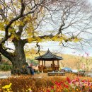 칠갑산장곡마을 이미지