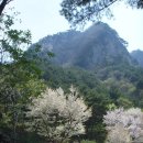 삼성암밑 이미지