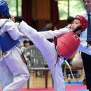 국가대표 아라태권도 이미지