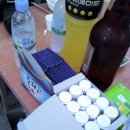 가평연리지 이미지