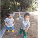 꽃과호수어린이집 이미지