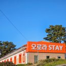 제주 애월 가성비 감성숙소 오로라스테이 숙박후기