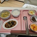 명품차병원 | 강남차병원 제왕절개 후기 (2) - 수술편
