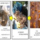 백번농장 이미지