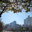 문화회관사거리 1 이미지