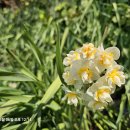 횡간도2 이미지