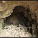 양지-2731 이미지